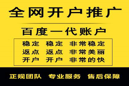百度竞价广告成功案例：如何实现ROI最大化
